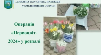 В рамках проведення операції «Первоцвіт – 2024» Інспекція здійснює рейдові перевірки в місцях реалізації об’єктів рослинного світу