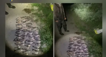 Інспектори під час проведення рибоохоронного рейду виявили порушника, який рибалив забороненим знаряддям лову