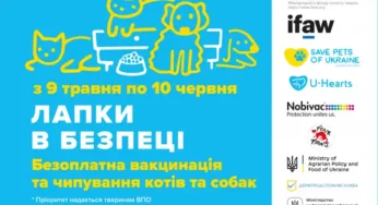 У Хмельницькому безкоштовно вакцинують домашніх тварин: де можна отримати послугу