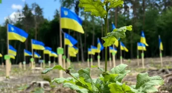 У Славуті висадили ліс на честь загиблих воїнів
